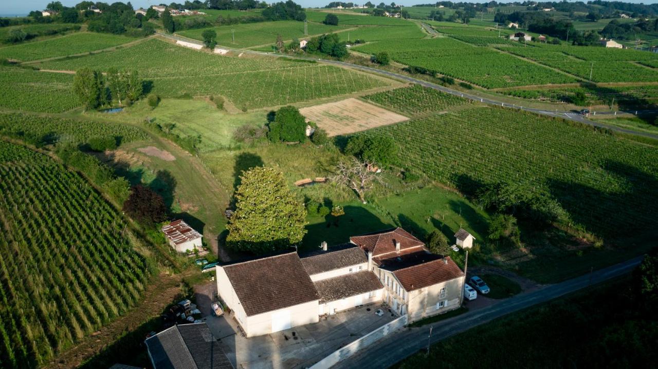 Chambre D'Hote Pres Bordeaux Au Chateau Camponac Bourg-sur-Gironde Ngoại thất bức ảnh