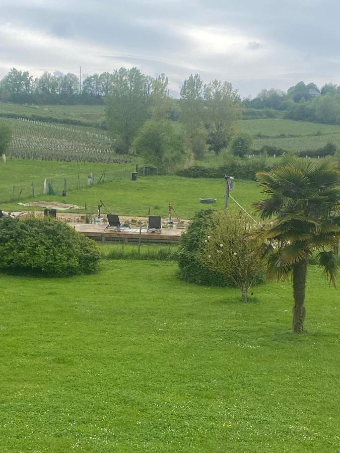 Chambre D'Hote Pres Bordeaux Au Chateau Camponac Bourg-sur-Gironde Ngoại thất bức ảnh